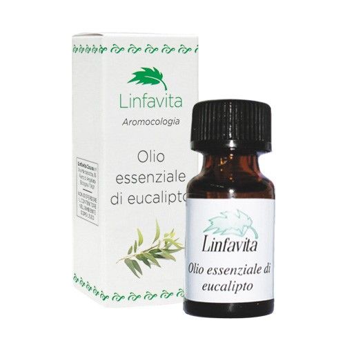 Olio essenziale di Eucalipto
