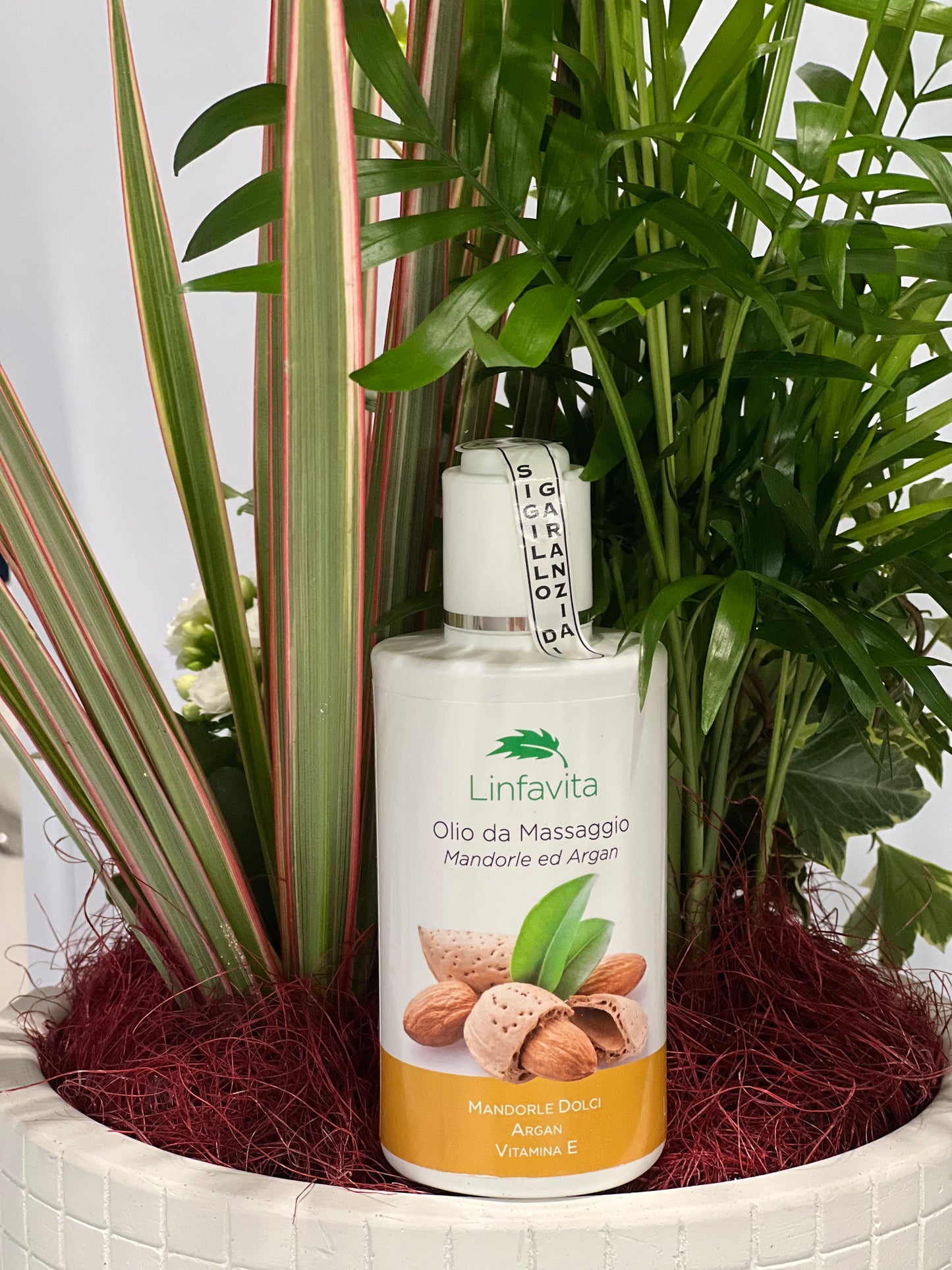 Olio da Massaggio Mandorle ed Argan