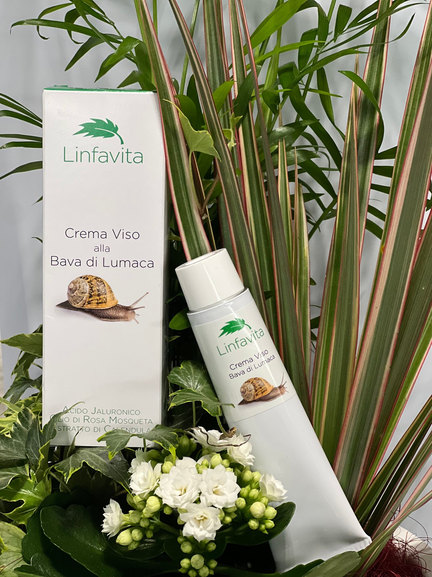 Crema Viso alla Bava di Lumaca