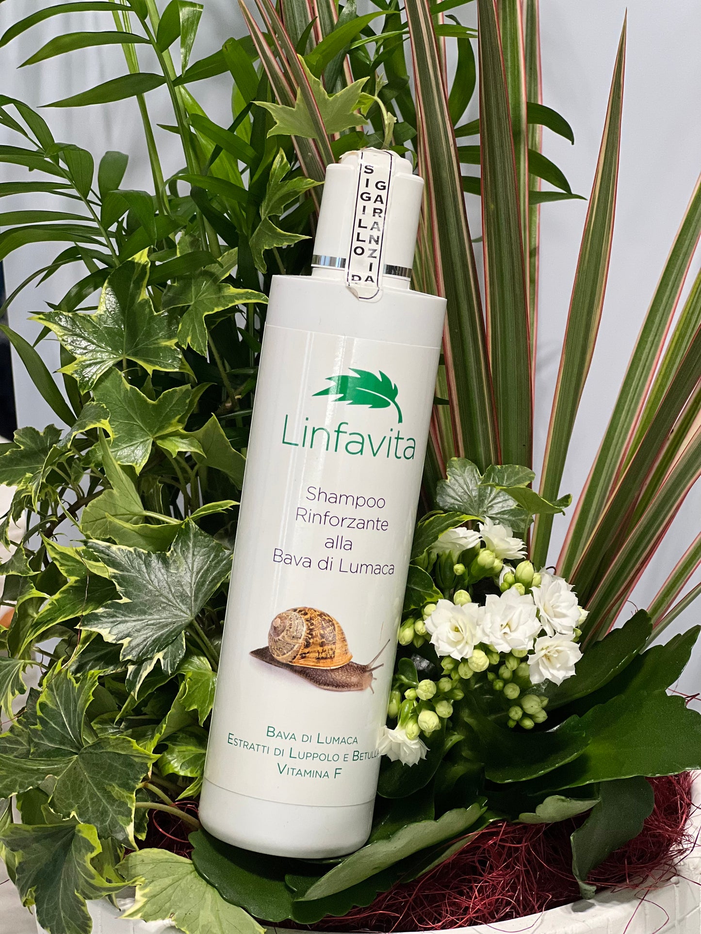 Shampoo rinforzante alla Bava di Lumaca