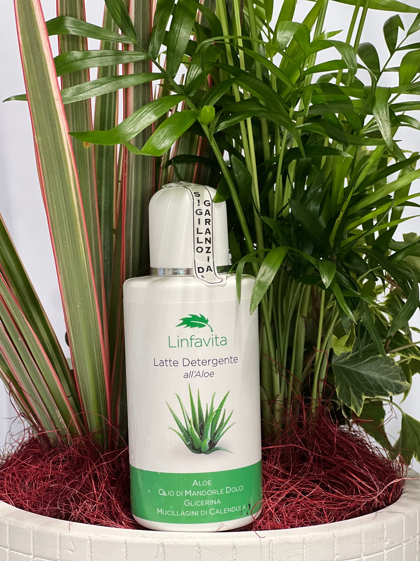 Latte detergente all'aloe